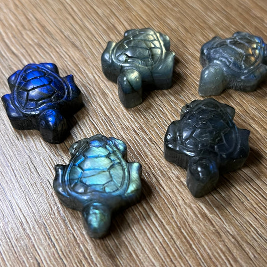 Labradorit Mini Schildkröte