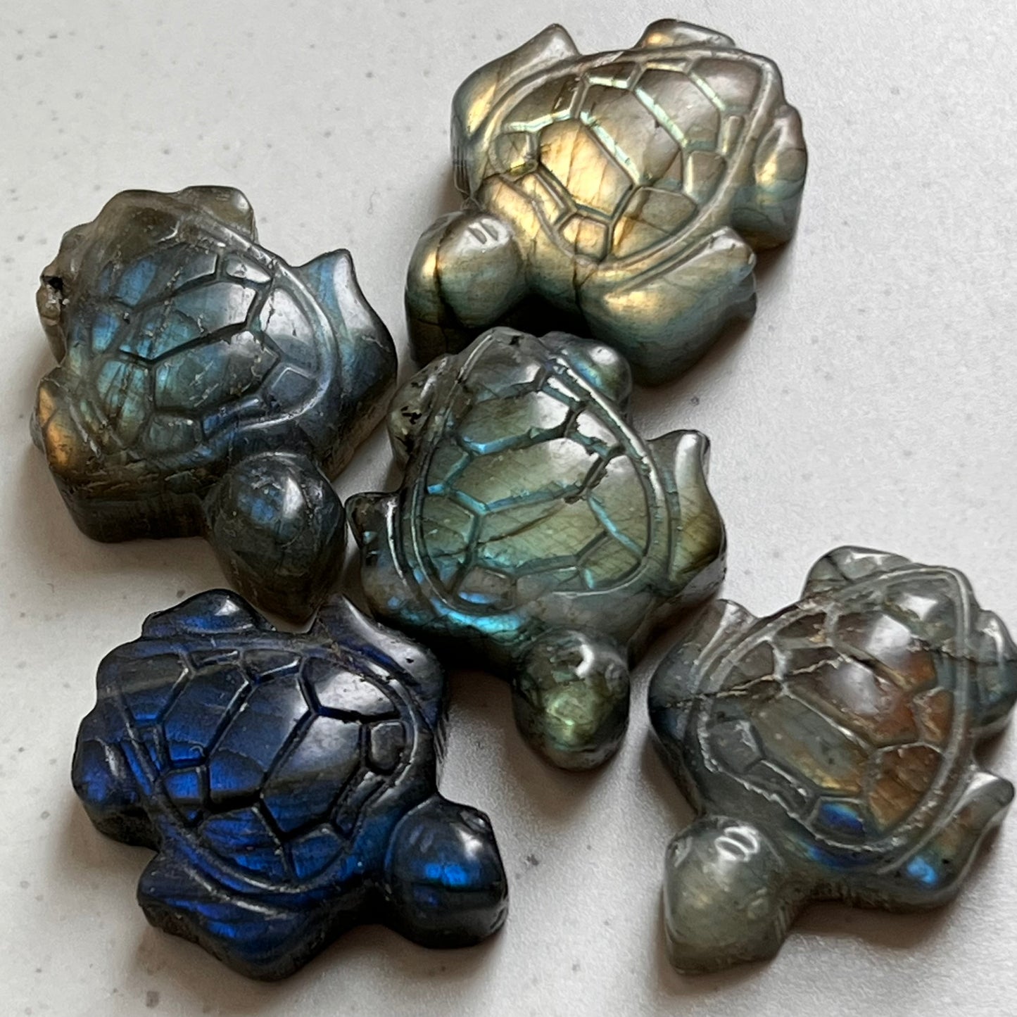 Labradorit Mini Schildkröte