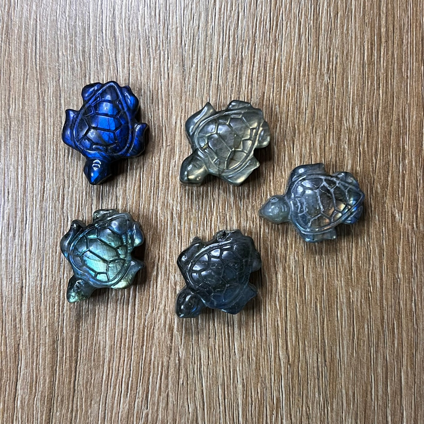 Labradorit Mini Schildkröte