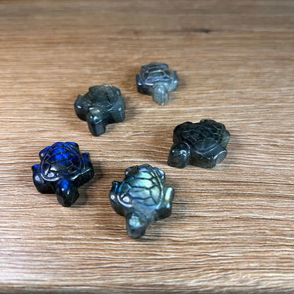 Labradorit Mini Schildkröte