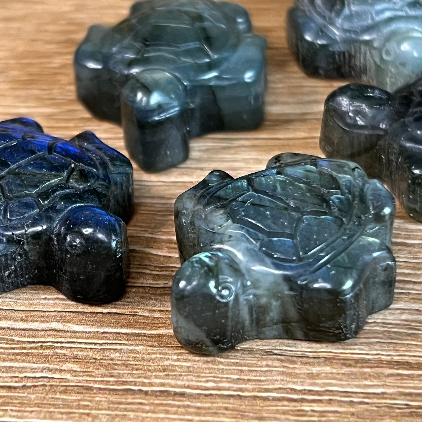 Labradorit Mini Schildkröte