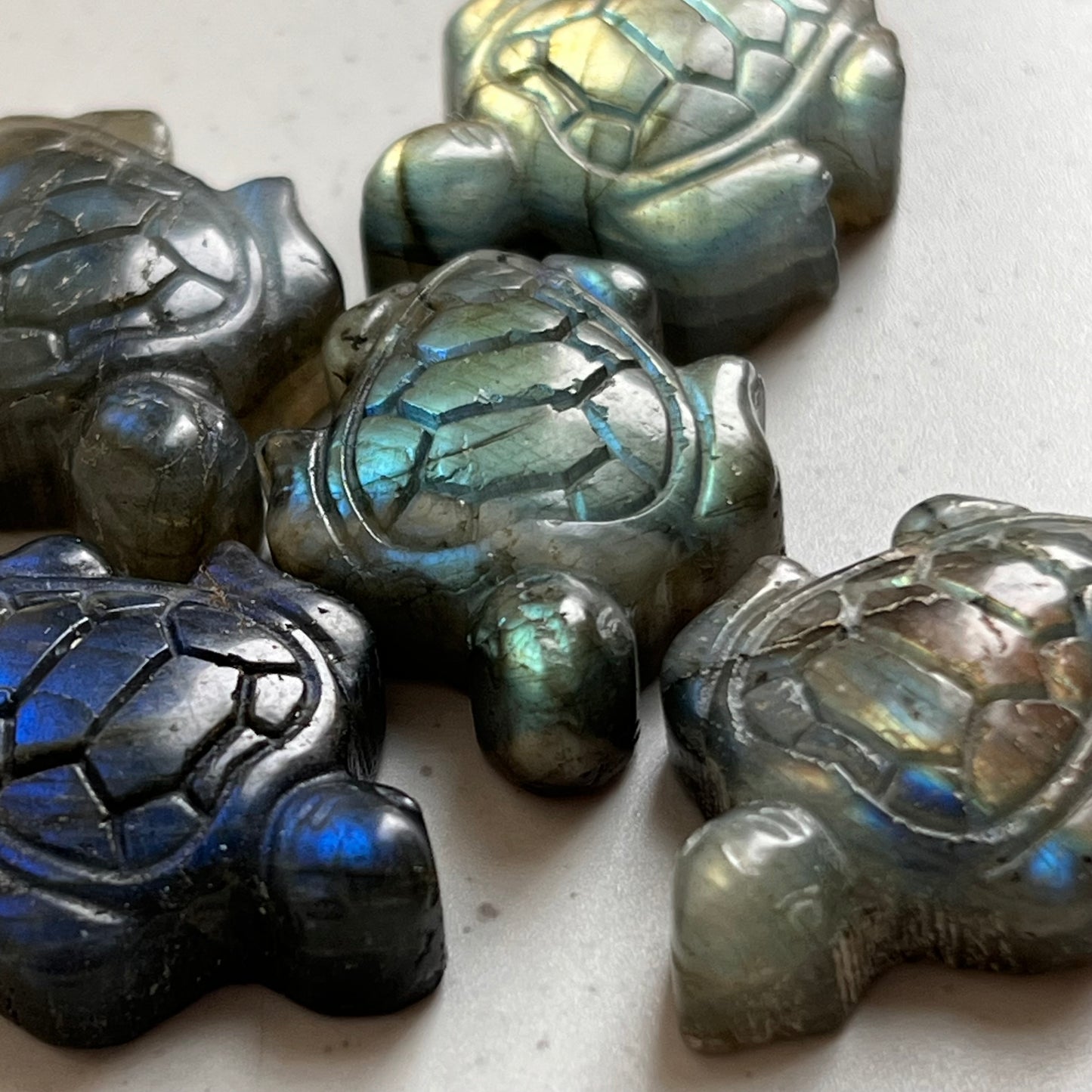 Labradorit Mini Schildkröte