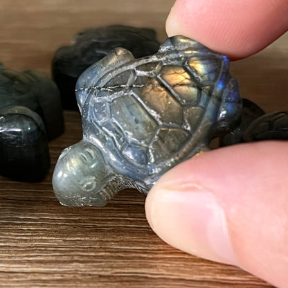 Labradorit Mini Schildkröte