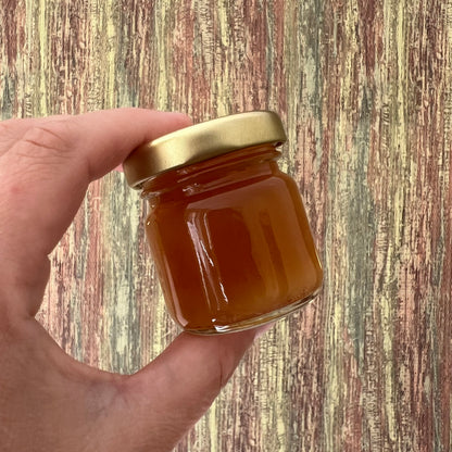 Golden Spice - Orange Spekulatius -Fruchtaufstrich - 40 Gramm