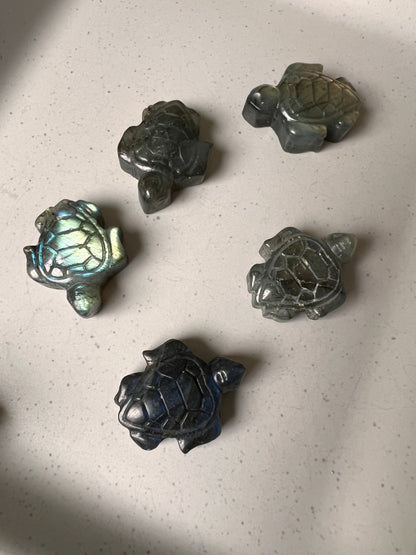 Labradorit Mini Schildkröte
