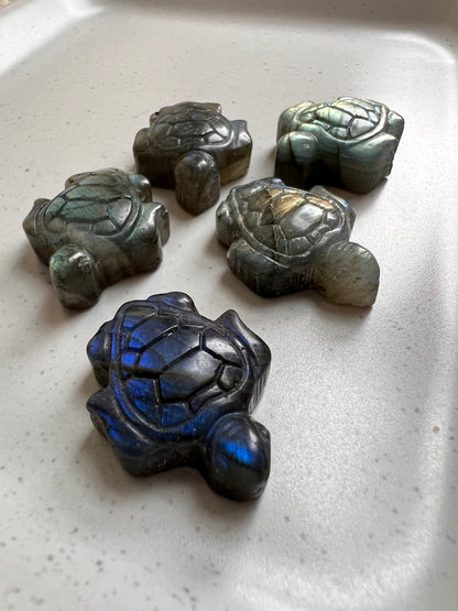 Labradorit Mini Schildkröte