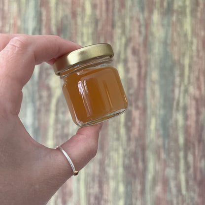 Shinigami Delight - Apfel-Ingwer-Fruchtaufstrich - 40 Gramm