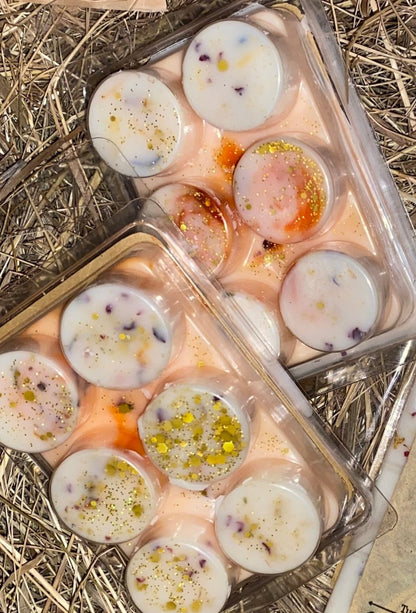 Witcher-Edition "Geralt"