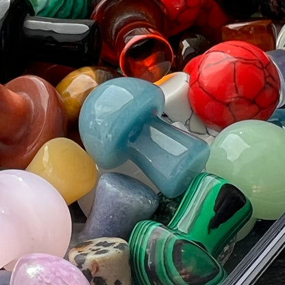 1 Mini-Pilz – zufällige Auswahl