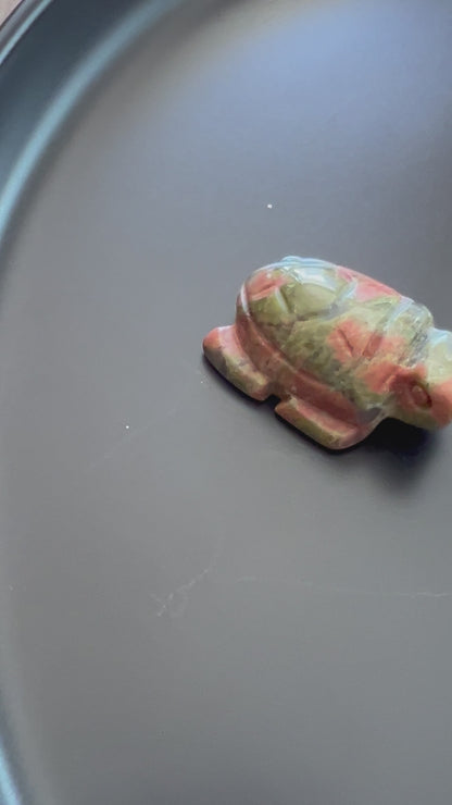 1 kleine Schildkröte - zufällig gewählter Stein